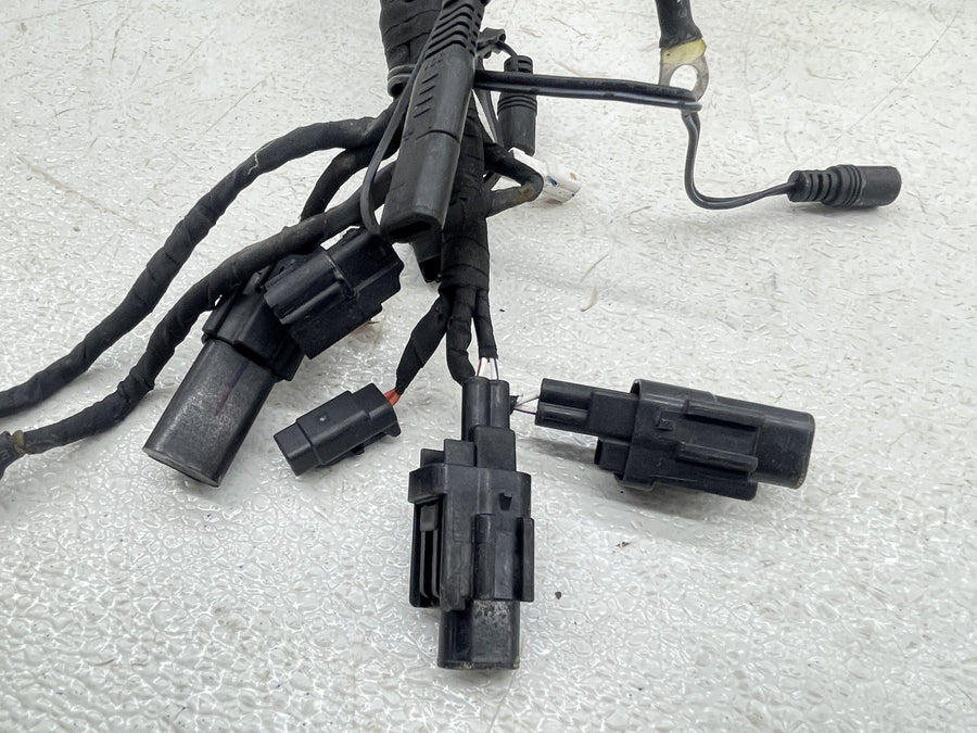 25-26 HARLEY-DAVIDSON NIGHTSTER RH975 MAIN ENGINE WIRING HARNESS MOTOR WIRE LOOM