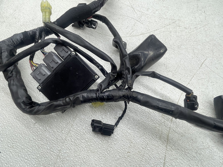 15-21 KAWASAKI VERSYS 650 KLE650 MAIN ENGINE WIRING HARNESS MOTOR WIRE LOOM