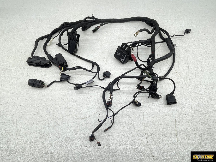 09-14 BMW F800R ABS MAIN ENGINE WIRING HARNESS MOTOR WIRE LOOM 7701244