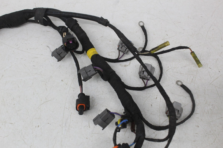 19-21 Can-am Ryker 900 engine sub Injector Wiring Harness Wire Loom