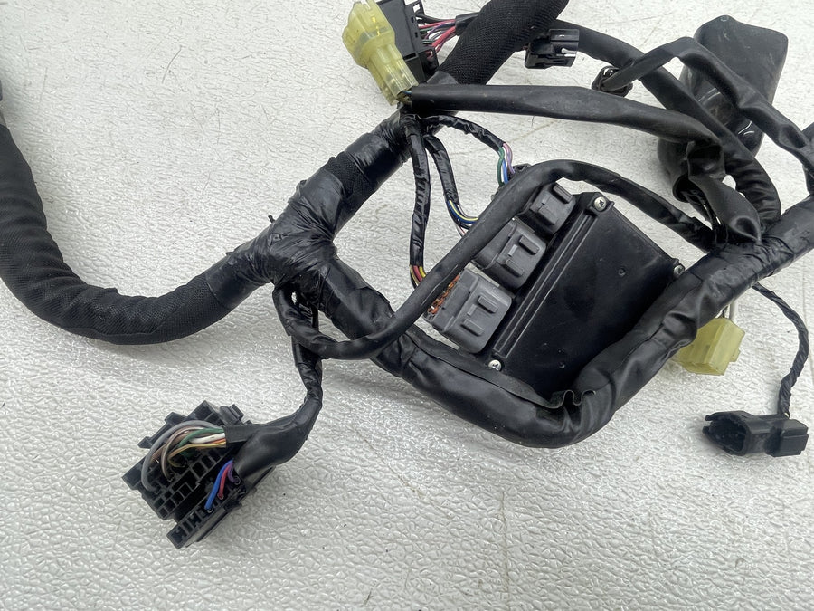 15-21 KAWASAKI VERSYS 650 KLE650 MAIN ENGINE WIRING HARNESS MOTOR WIRE LOOM