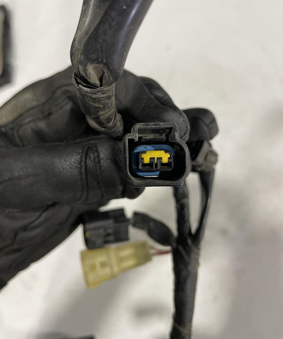 03-05 YAMAHA YZF R6/YZF R6S IGNITION COIL WIRING HARNESS WIRE LOOM
