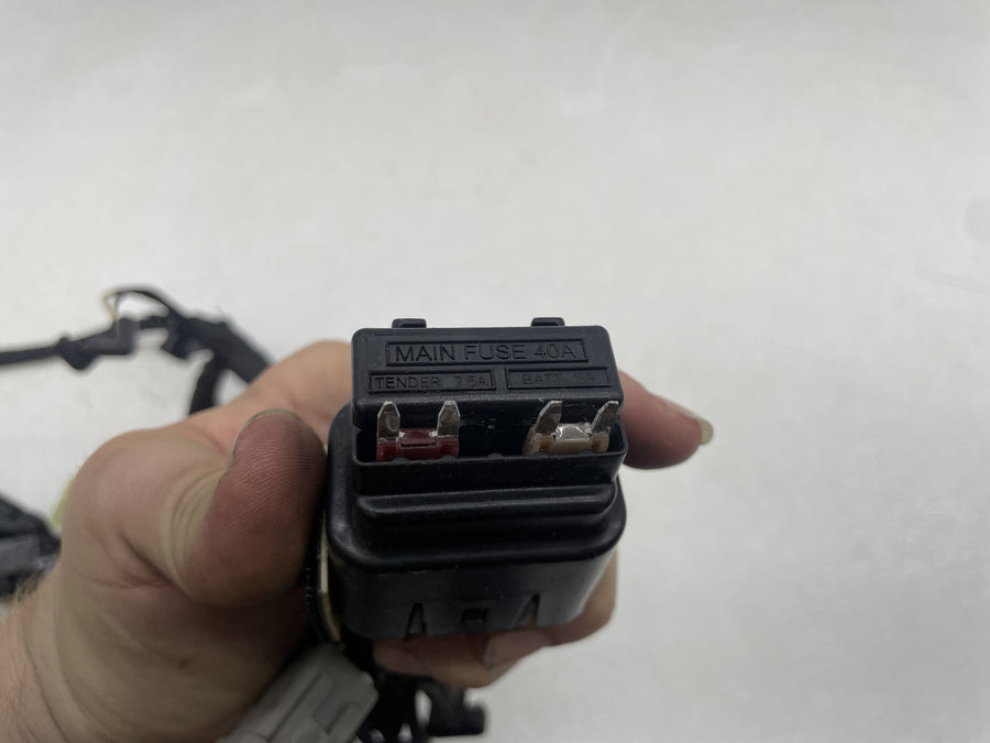 18-23 HARLEY-DAVIDSON STREET BOB MAIN ENGINE WIRING HARNESS MOTOR WIRE LOOM
