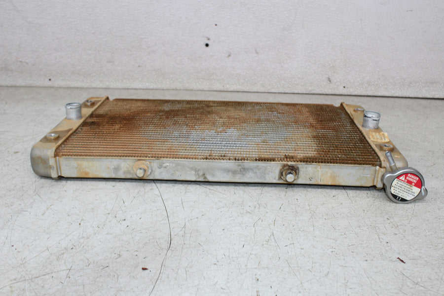 16-18 YAMAHA WOLVERINE YXE700 ENGINE RADIATOR MOTOR COOLER COOLING RADIATER