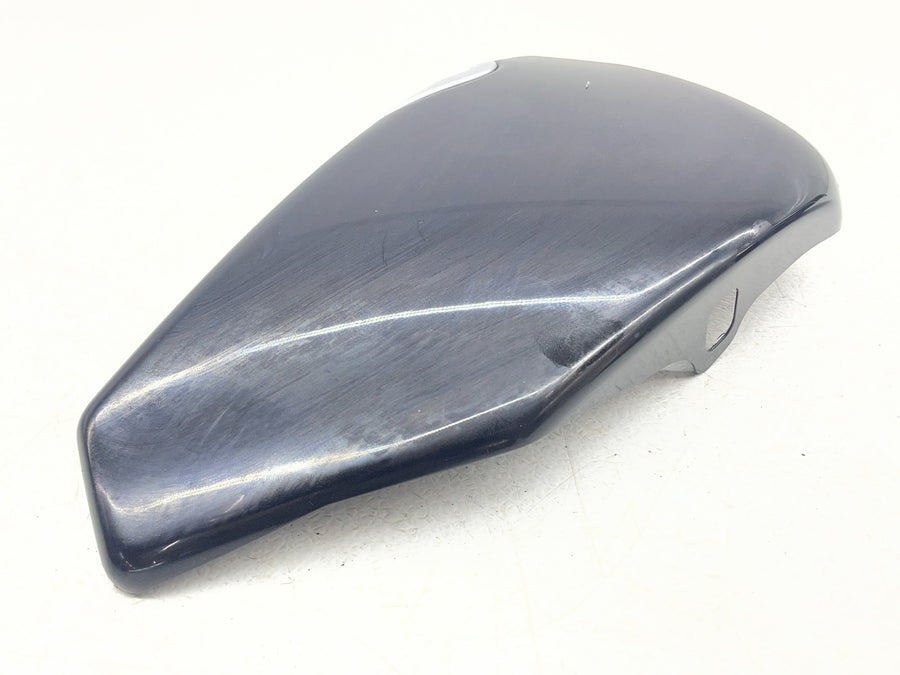 21-22 HARLEY-DAVIDSON IRON 883 XL883N OIL TANK SIDE COVERS PANELS COWLS
