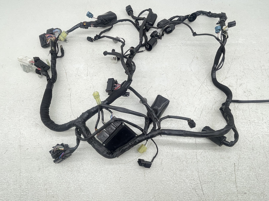 15-21 KAWASAKI VERSYS 650 KLE650 MAIN ENGINE WIRING HARNESS MOTOR WIRE LOOM