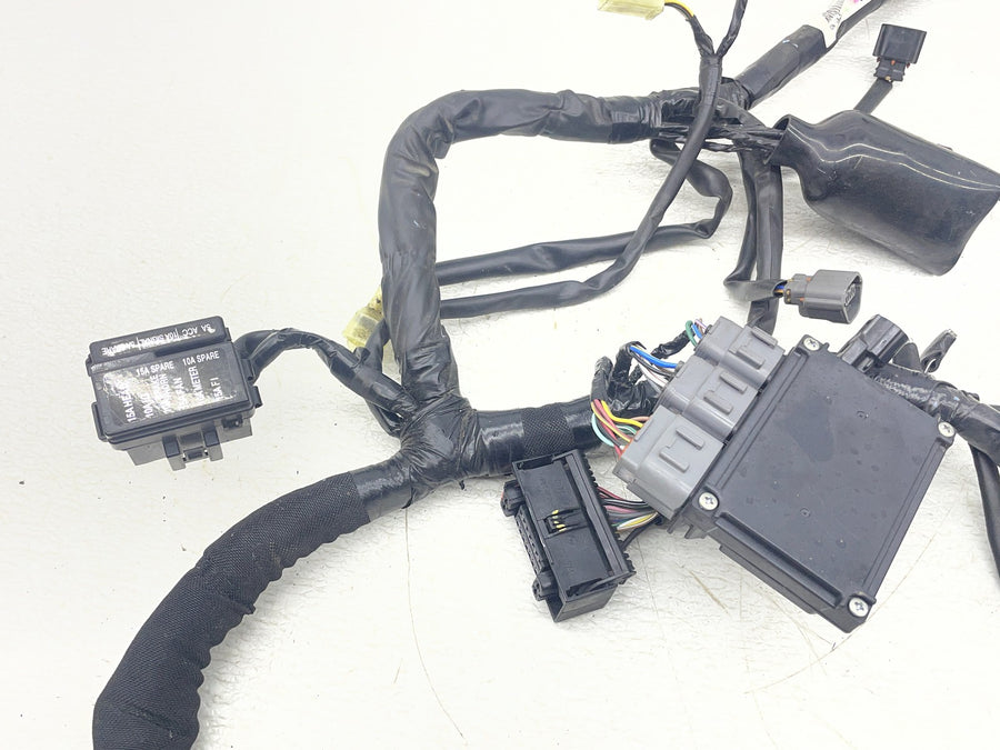 15-21 KAWASAKI VERSYS 650 KLE650 MAIN ENGINE WIRING HARNESS MOTOR WIRE LOOM