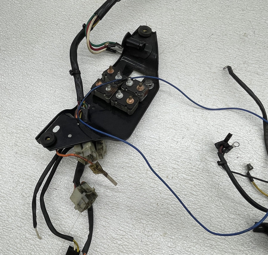 87-92 HARLEY-DAVIDSON LOW RIDER FXLR MAIN ENGINE WIRING HARNESS MOTOR WIRE LOOM