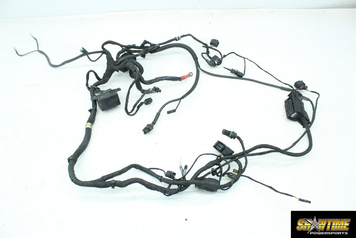 13-16 BMW F800GS F800 GS MAIN ENGINE WIRING HARNESS MOTOR WIRE LOOM