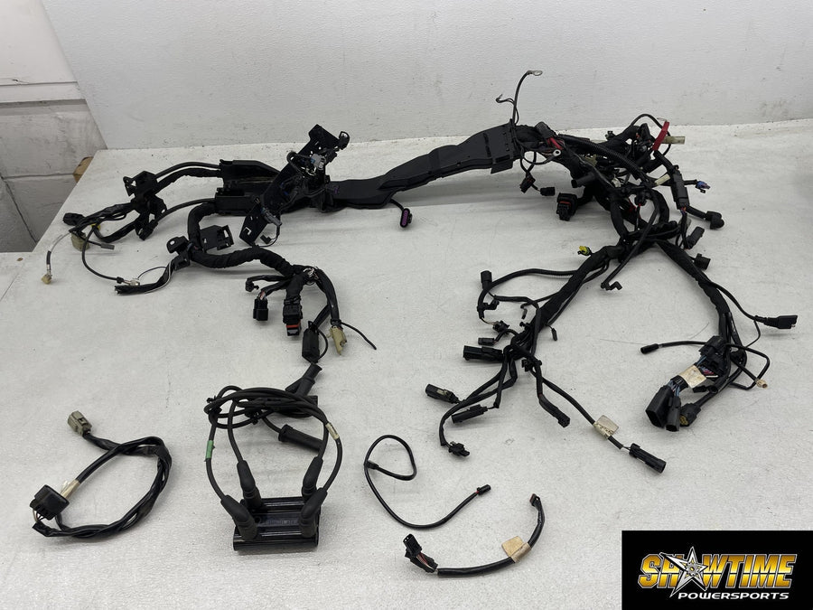 17-23 HARLEY-DAVIDSON ELECTRA GLIDE ULTRA LIMITED MAIN ENGINE WIRING HARNESS