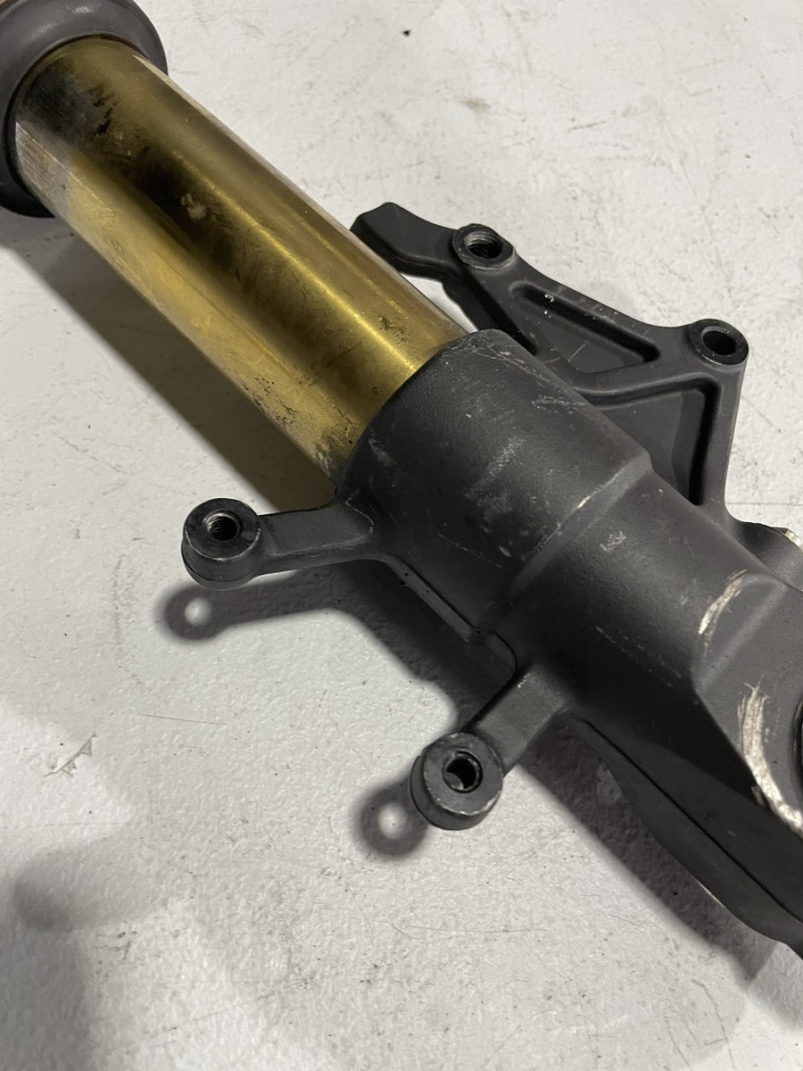 01-02 SUZUKI GSXR1000 LEFT FRONT FORK SHOCK SUSPENSION