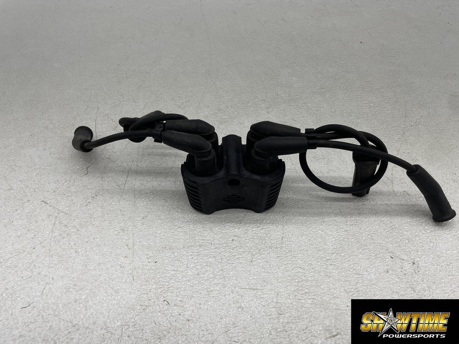 24-26 HARLEY-DAVIDSON ROAD GLIDE FLTRX IGNITION COILS