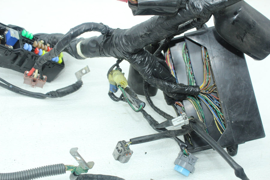 01-05 HONDA GOLDWING 1800 GL1800 MAIN FRONT SUB ENGINE WIRING HARNESS MOTOR WIRE