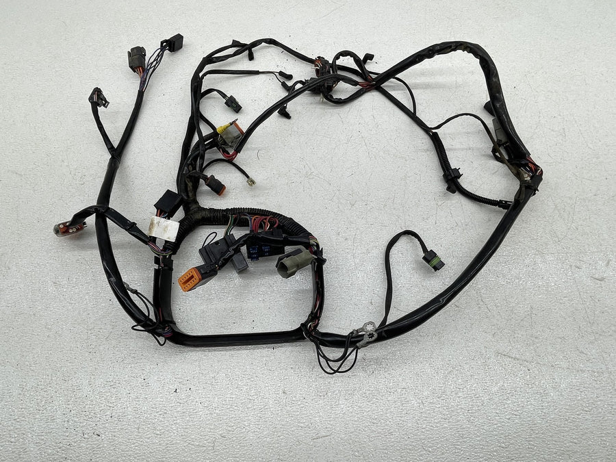 00-06 HARLEY-DAVIDSON SOFTAIL FXST MAIN ENGINE WIRING HARNESS RECTIFIER COIL