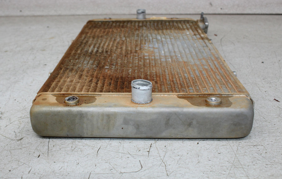 16-18 YAMAHA WOLVERINE YXE700 ENGINE RADIATOR MOTOR COOLER COOLING RADIATER