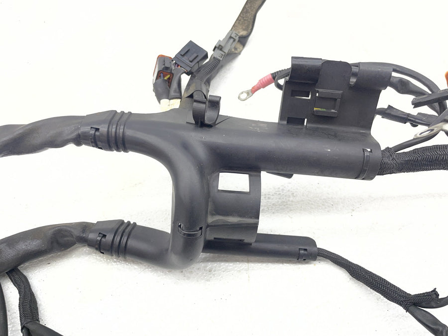 04-06 HARLEY-DAVIDSON SPORTSTER 1200 XL1200L MAIN ENGINE WIRING HARNESS MOTOR