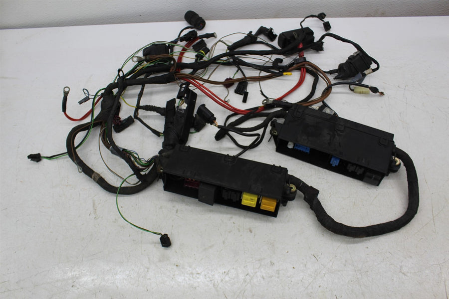 98-05 BMW R1100 S MAIN ENGINE MOTOR WIRE WIRING HARNESS LOOM (SEE DESCP)