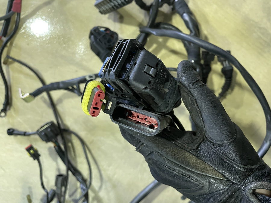 04-07 DUCATI MONSTER S4R MAIN ENGINE WIRING HARNESS MOTOR WIRE LOOM