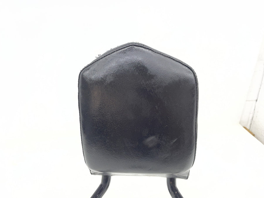 14-20 HARLEY-DAVIDSON SPORTSTER SUPER LOW XL1200T BACK REST SISSY BAR