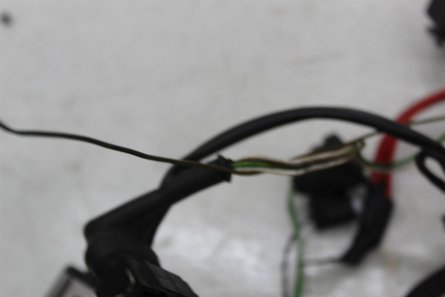 98-05 BMW R1100 S MAIN ENGINE MOTOR WIRE WIRING HARNESS LOOM (SEE DESCP)
