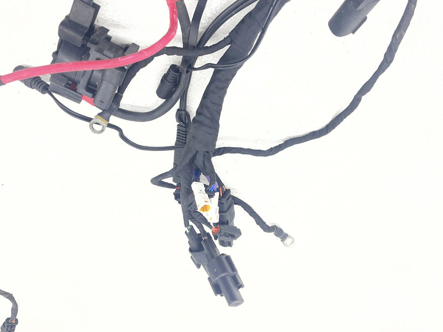 25-26 HARLEY-DAVIDSON NIGHTSTER RH975 MAIN ENGINE WIRING HARNESS MOTOR WIRE LOOM