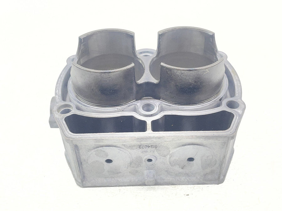 07 POLARIS SPORTSMAN 800 ENGINE CYLINDERS PISTONS BLOCK JUG BARREL