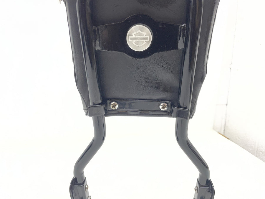 14-20 HARLEY-DAVIDSON SPORTSTER SUPER LOW XL1200T BACK REST SISSY BAR