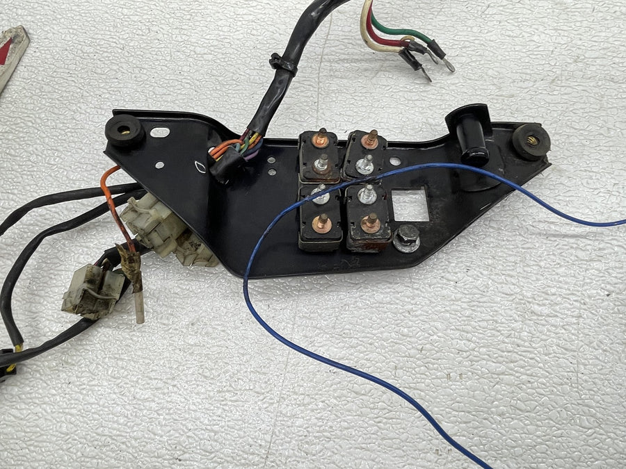 87-92 HARLEY-DAVIDSON LOW RIDER FXLR MAIN ENGINE WIRING HARNESS MOTOR WIRE LOOM