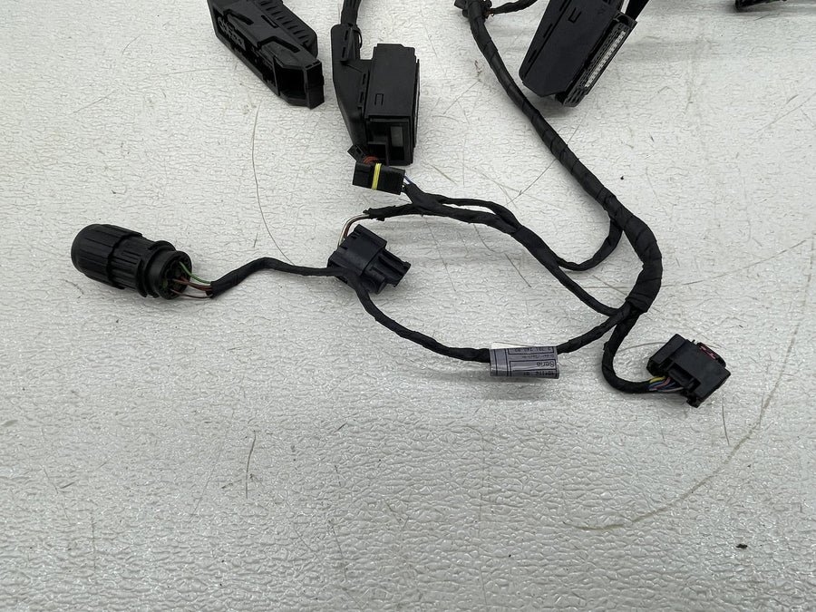 09-14 BMW F800R ABS MAIN ENGINE WIRING HARNESS MOTOR WIRE LOOM 7701244