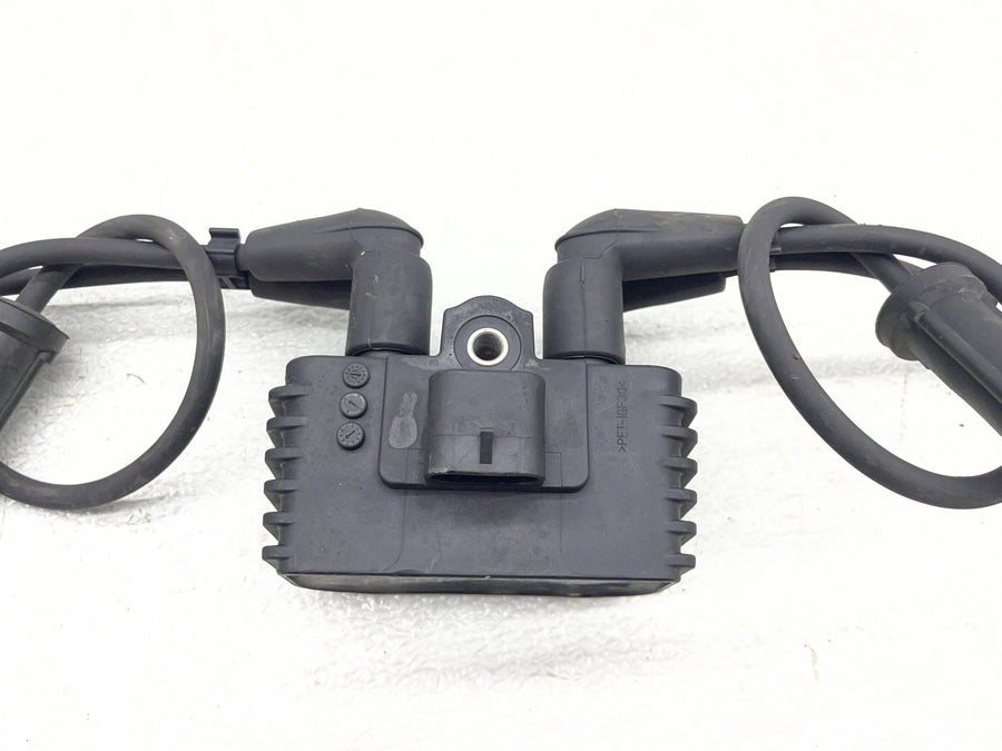 24-26 HARLEY-DAVIDSON ROAD GLIDE FLTRX IGNITION COILS