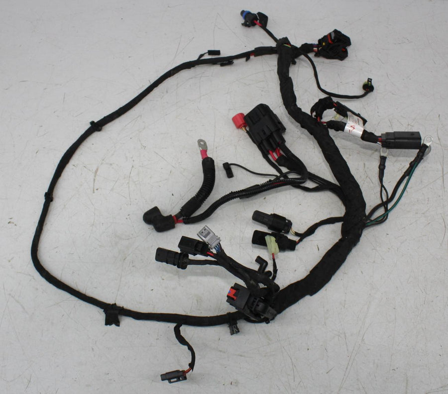 18-24 HARLEY-DAVIDSON STREET BOB SOFTAIL FXBBS MAIN ENGINE MOTOR WIRING HARNESS