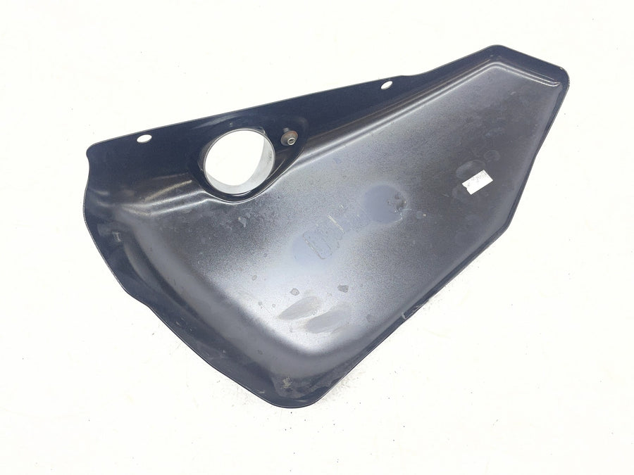 21-22 HARLEY-DAVIDSON IRON 883 XL883N OIL TANK SIDE COVERS PANELS COWLS