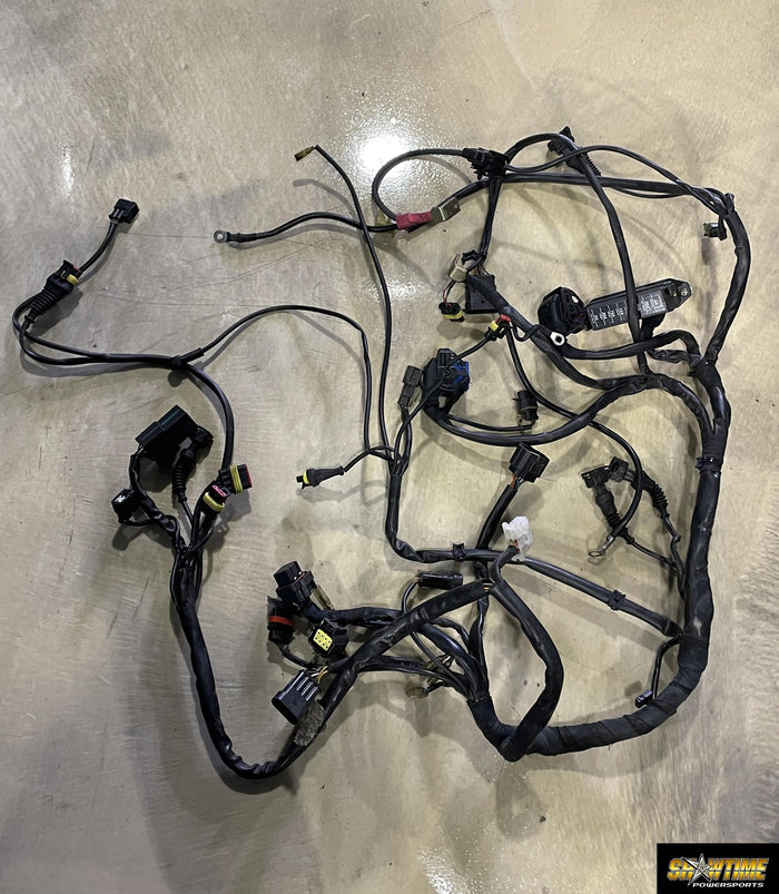 04-07 DUCATI MONSTER S4R MAIN ENGINE WIRING HARNESS MOTOR WIRE LOOM