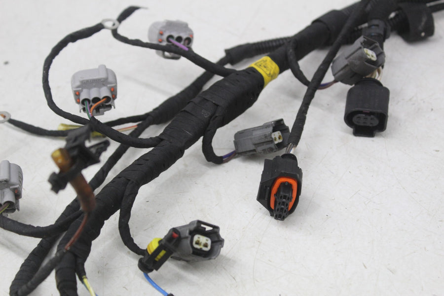 19-21 Can-am Ryker 900 engine sub Injector Wiring Harness Wire Loom