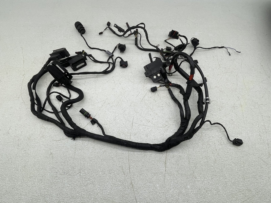 09-14 BMW F800R ABS MAIN ENGINE WIRING HARNESS MOTOR WIRE LOOM 7701244