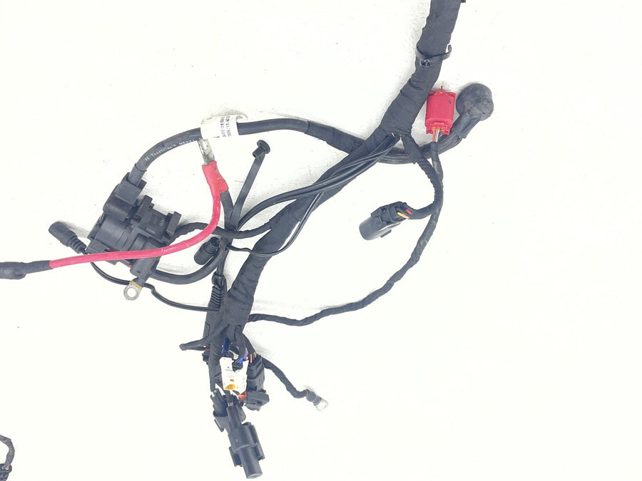 25-26 HARLEY-DAVIDSON NIGHTSTER RH975 MAIN ENGINE WIRING HARNESS MOTOR WIRE LOOM