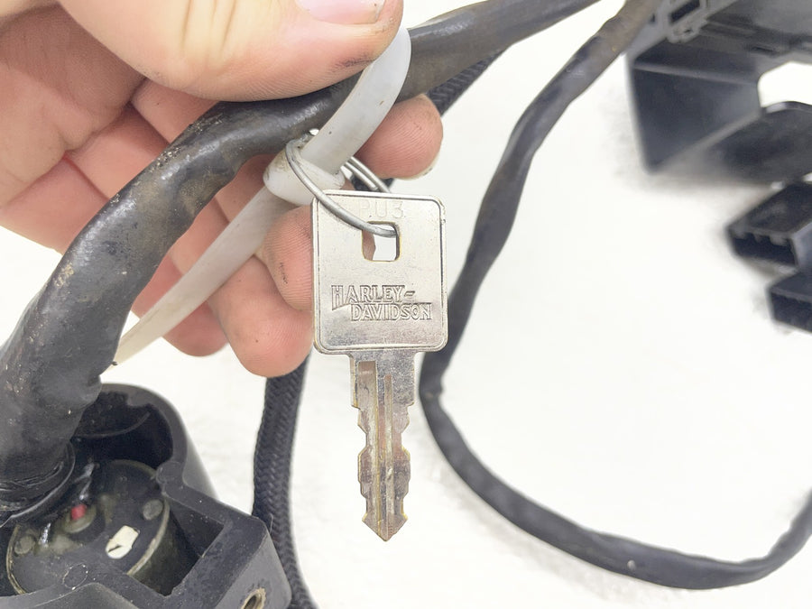 04-06 HARLEY-DAVIDSON SPORTSTER 1200 XL1200L MAIN ENGINE WIRING HARNESS MOTOR