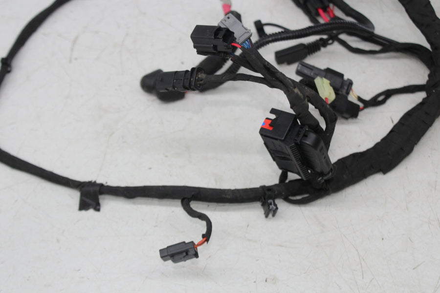 18-24 HARLEY-DAVIDSON STREET BOB SOFTAIL FXBBS MAIN ENGINE MOTOR WIRING HARNESS