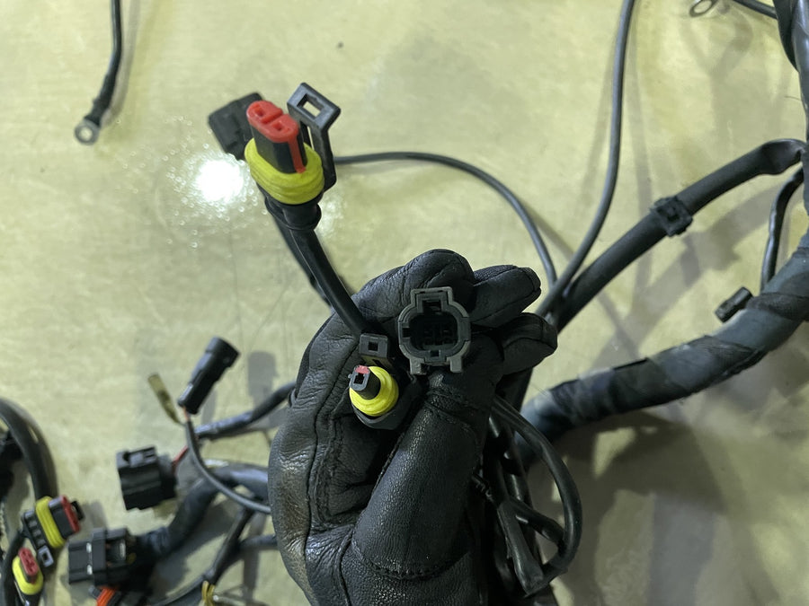04-07 DUCATI MONSTER S4R MAIN ENGINE WIRING HARNESS MOTOR WIRE LOOM