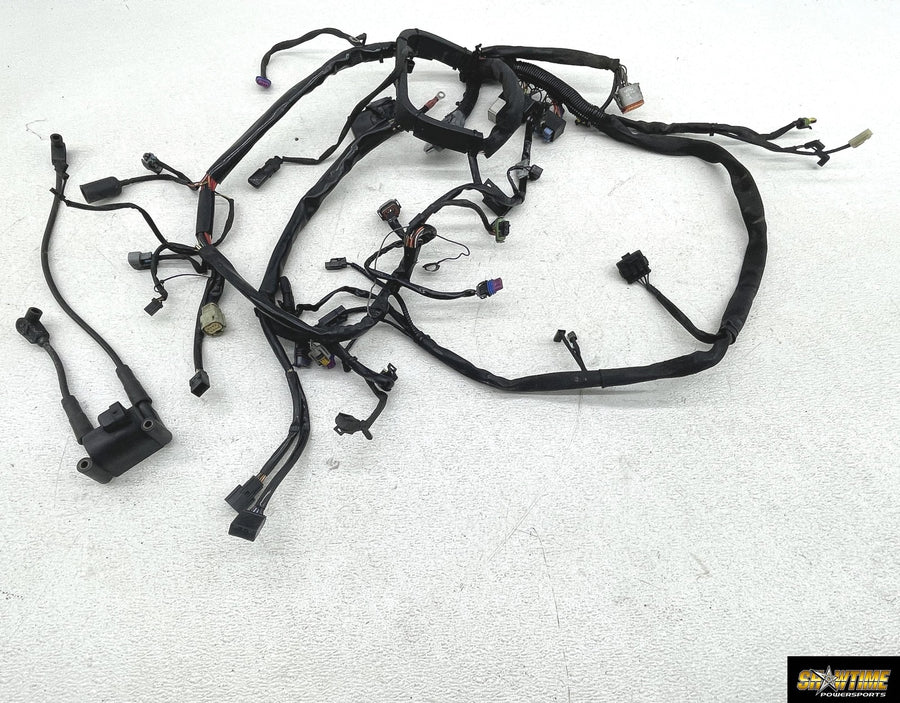 07-09 HARLEY-DAVIDSON SOFTAIL NIGHT TRAIN FXSTB MAIN ENGINE WIRING HARNESS MOTOR