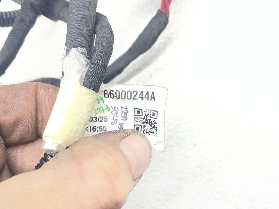 25-26 HARLEY-DAVIDSON NIGHTSTER RH975 MAIN ENGINE WIRING HARNESS MOTOR WIRE LOOM