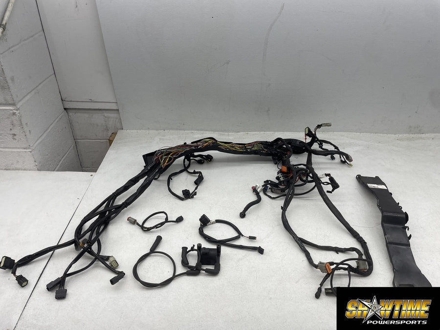13 HARLEY-DAVIDSON ROAD GLIDE CVO CUSTOM FLTRXSE2 MAIN ENGINE WIRING HARNESS